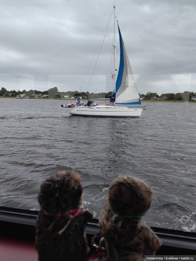 Музыкальная История 24 — Туризм и путешествия: фотоотчеты из поездок (фото 8)