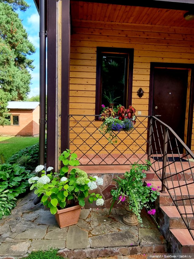 Бегом в сад, за Мией Ватрушковной