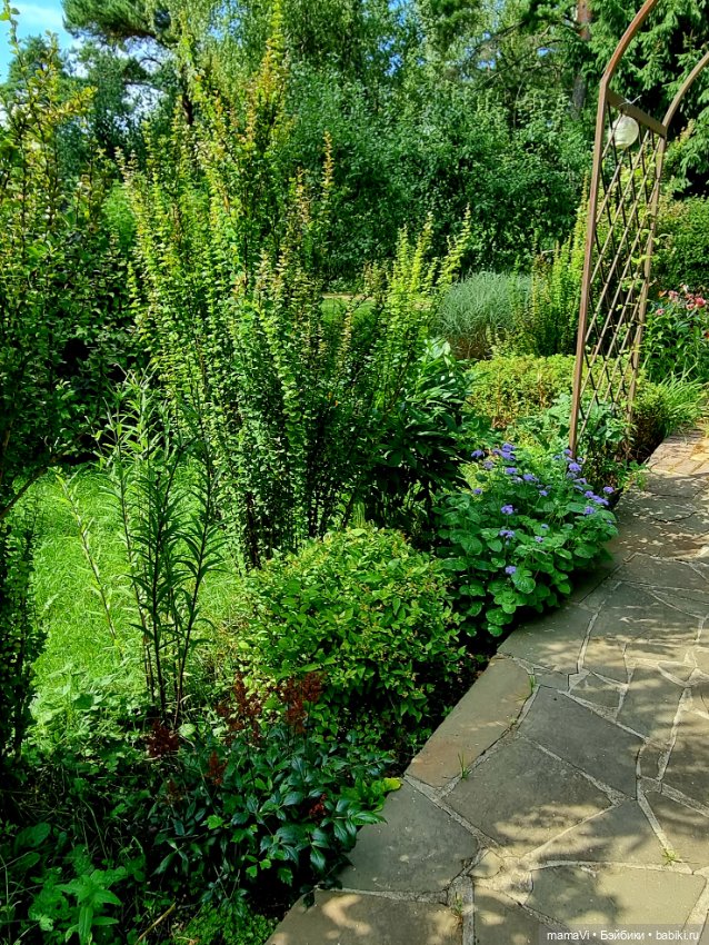 Бегом в сад, за Мией Ватрушковной (фото 9)