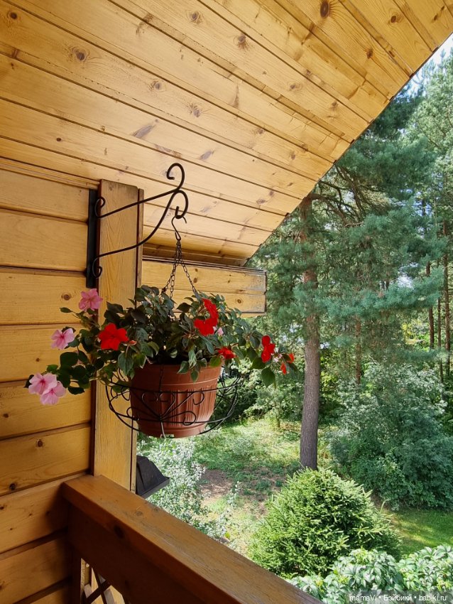 Бегом в сад, за Мией Ватрушковной