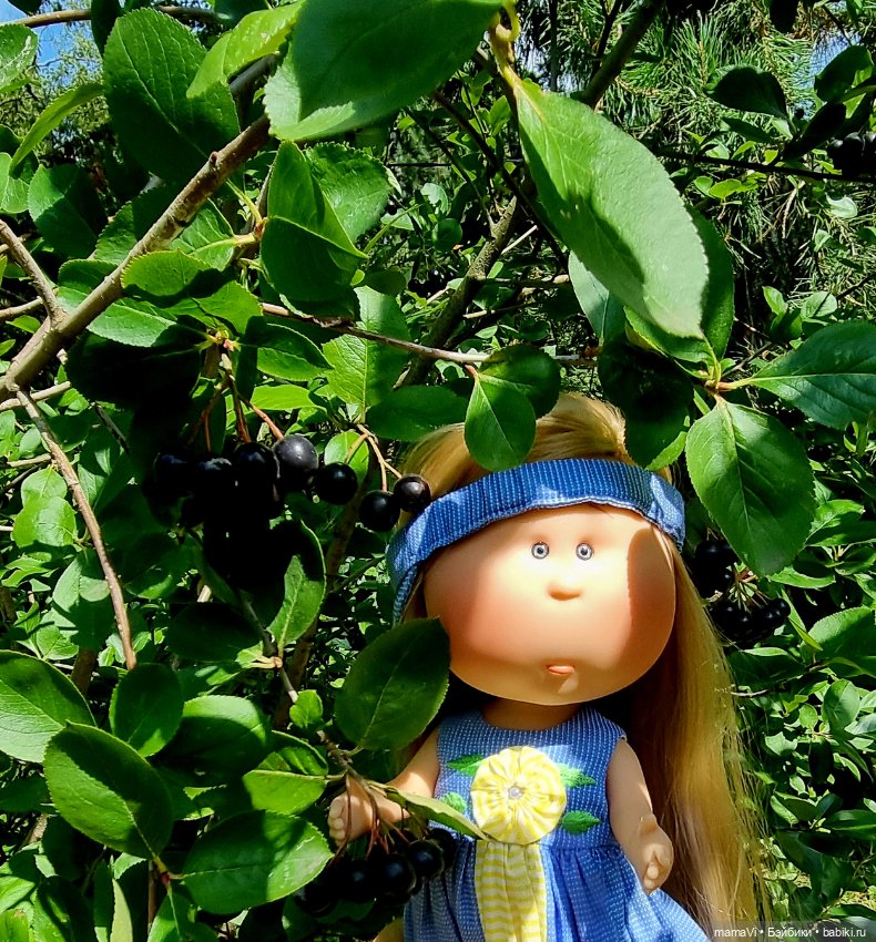 Бегом в сад, за Мией Ватрушковной (фото 8)