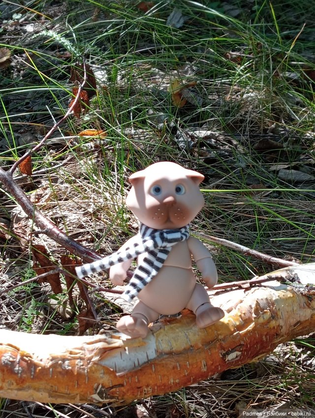 Августовская прогулка — Куклы Miroxdolls (Оксана Миронова): российские БЖД