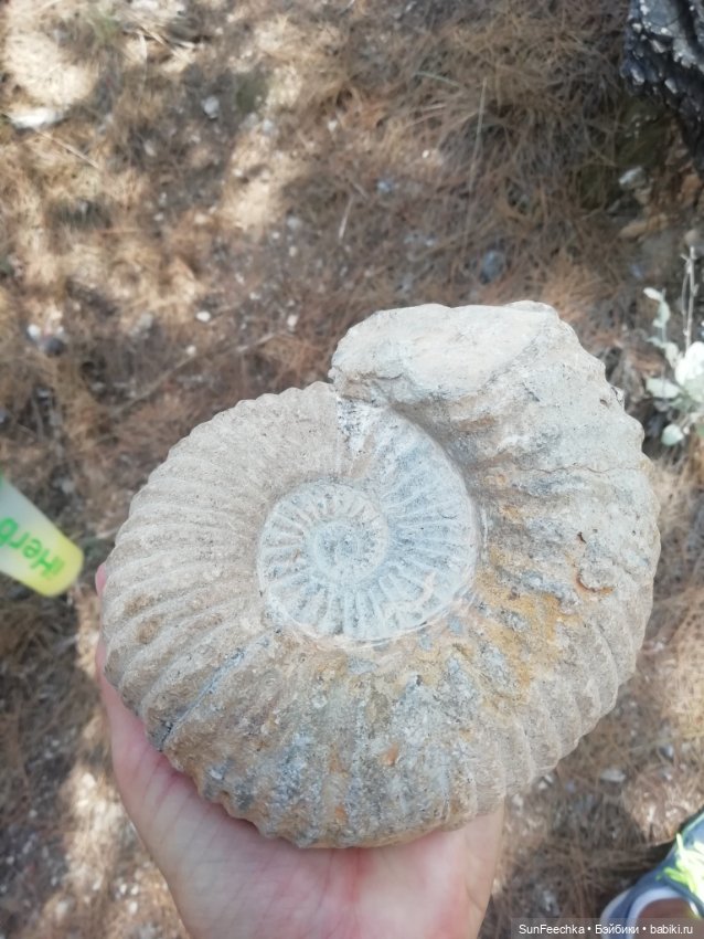 Наша интересная находка — Туризм и путешествия: фотоотчеты из поездок