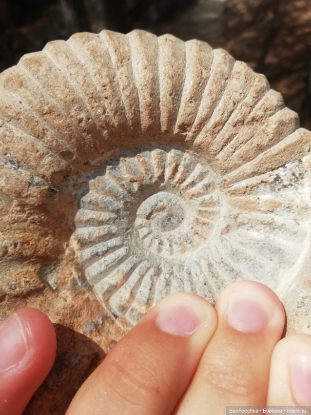 Наша интересная находка — Туризм и путешествия: фотоотчеты из поездок (фото 2)