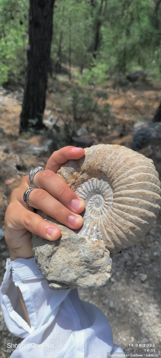 Наша интересная находка — Туризм и путешествия: фотоотчеты из поездок (фото 3)