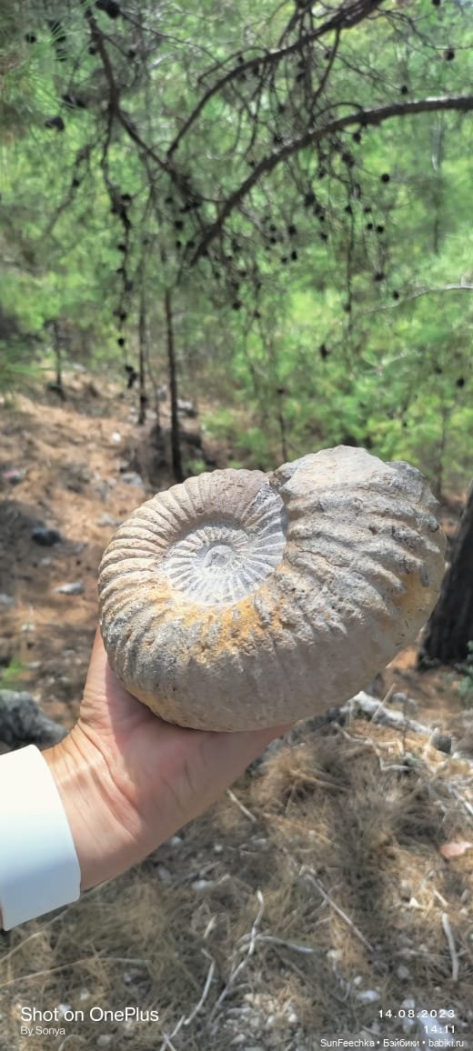 Наша интересная находка — Туризм и путешествия: фотоотчеты из поездок (фото 4)