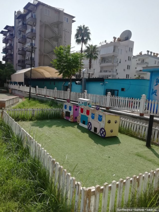 Котиками Алании посвящаю — Туризм и путешествия: фотоотчеты из поездок