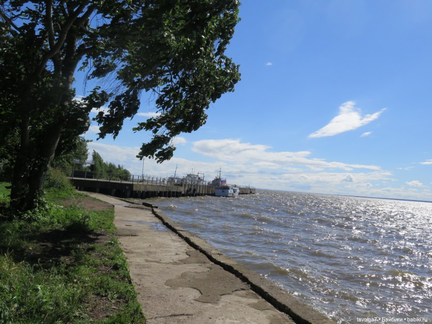 Ruby Red Siblies и Kidz n Cats в Кронштадте