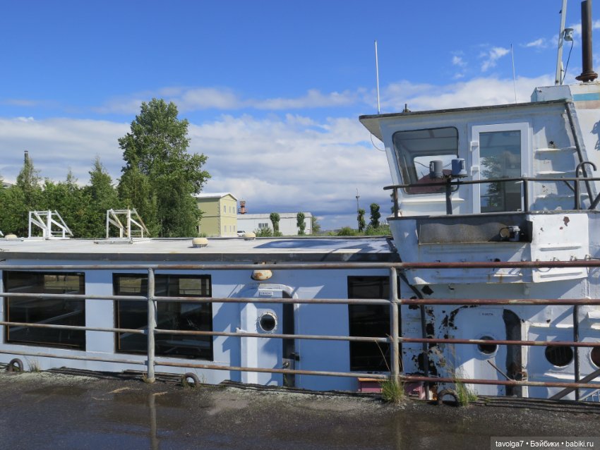 Ruby Red Siblies и Kidz n Cats в Кронштадте