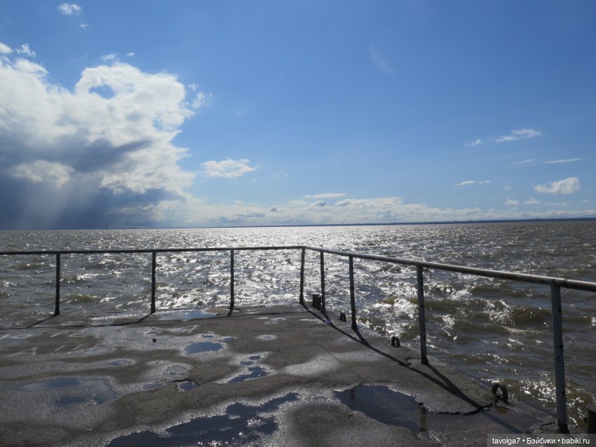 Ruby Red Siblies и Kidz n Cats в Кронштадте (фото 3)