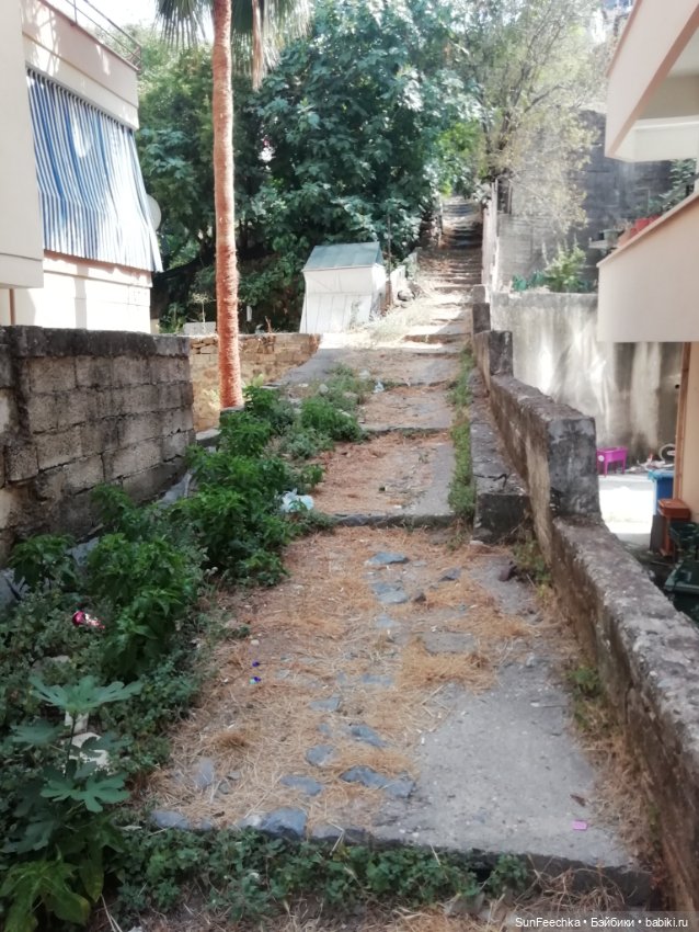 Милые сердцу лестницы — Туризм и путешествия: фотоотчеты из поездок