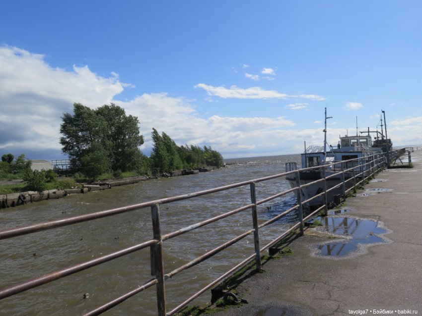 Ruby Red Siblies и Kidz n Cats в Кронштадте