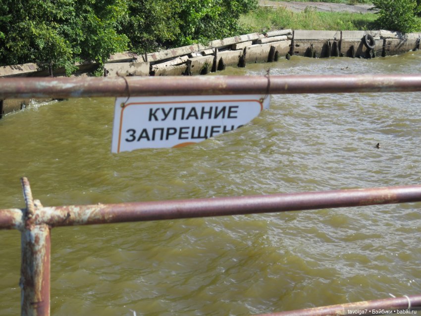 Ruby Red Siblies и Kidz n Cats в Кронштадте