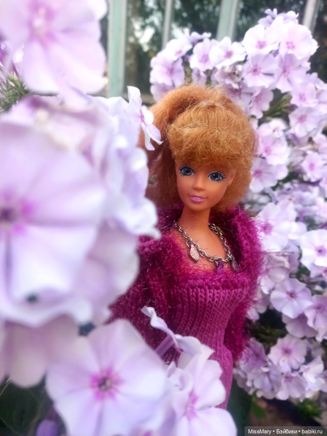 Челлендж-фотомарафон "21 день лета". День 5. Жозефина (фото 2)