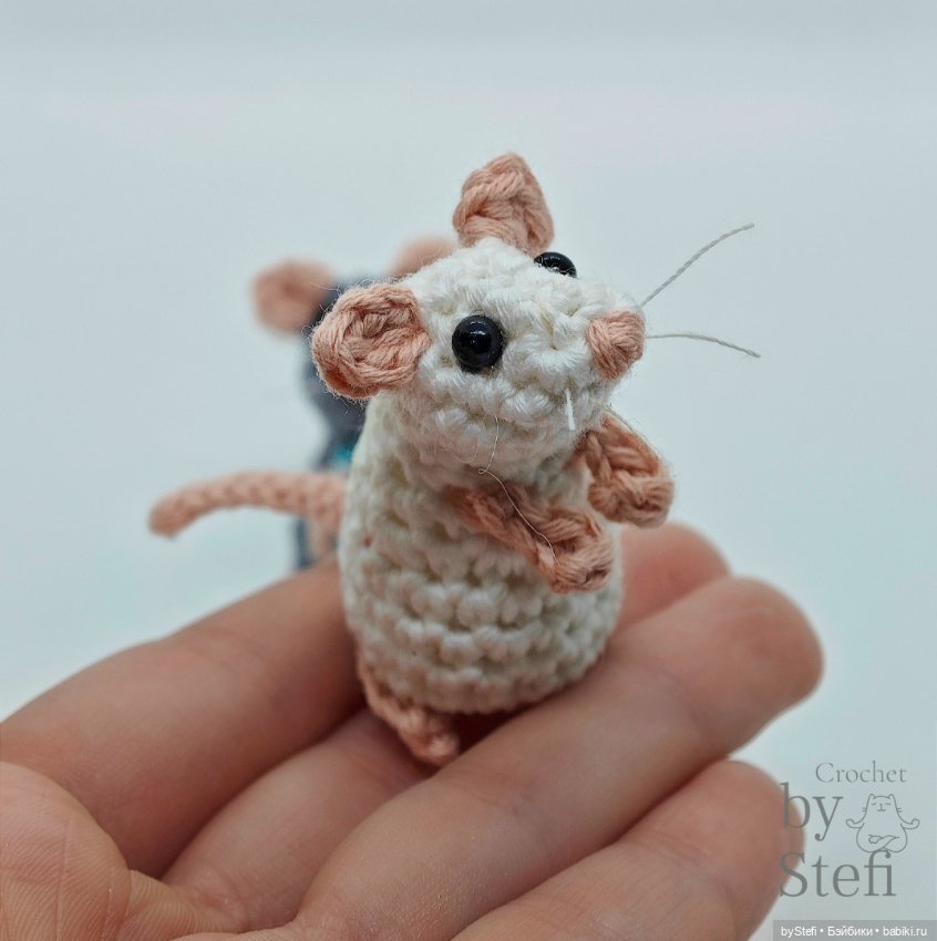 Вот мышули - это сила - Махонькие и милые Любопытные носики торчащие усики (фото 6)