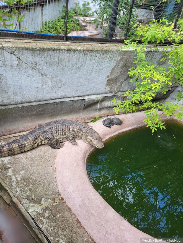 А мы идём...в Зоопарк — Мягкие игровые и текстильные куклы: тряпичные