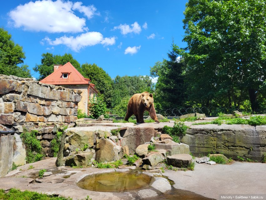А мы идём...в Зоопарк — Мягкие игровые и текстильные куклы: тряпичные