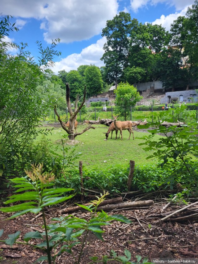 А мы идём...в Зоопарк — Мягкие игровые и текстильные куклы: тряпичные