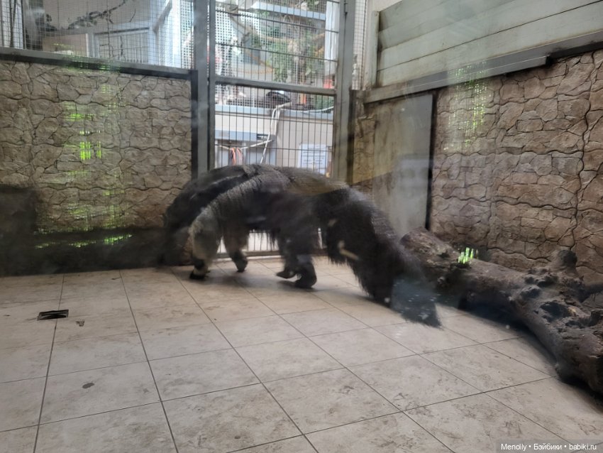 А мы идём...в Зоопарк — Мягкие игровые и текстильные куклы: тряпичные