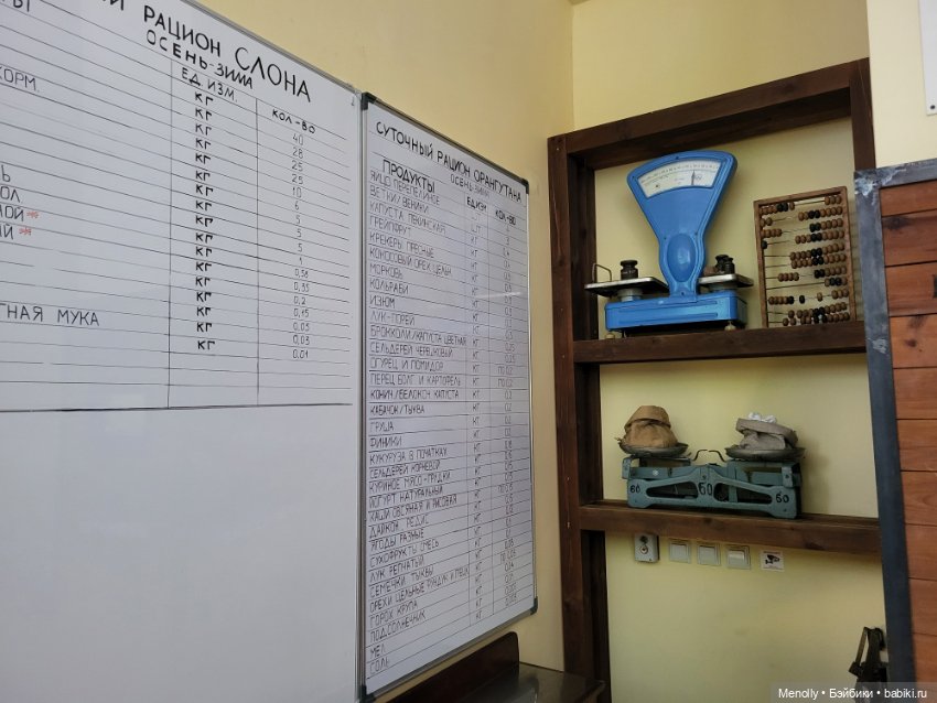 А мы идём...в Зоопарк — Мягкие игровые и текстильные куклы: тряпичные