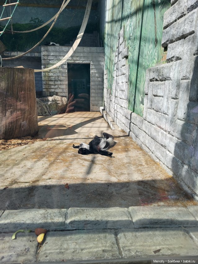 А мы идём...в Зоопарк — Мягкие игровые и текстильные куклы: тряпичные (фото 7)