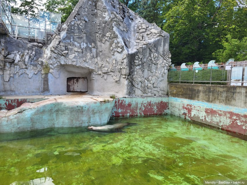 А мы идём...в Зоопарк — Мягкие игровые и текстильные куклы: тряпичные