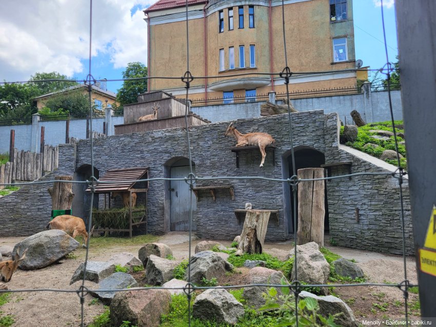 А мы идём...в Зоопарк — Мягкие игровые и текстильные куклы: тряпичные