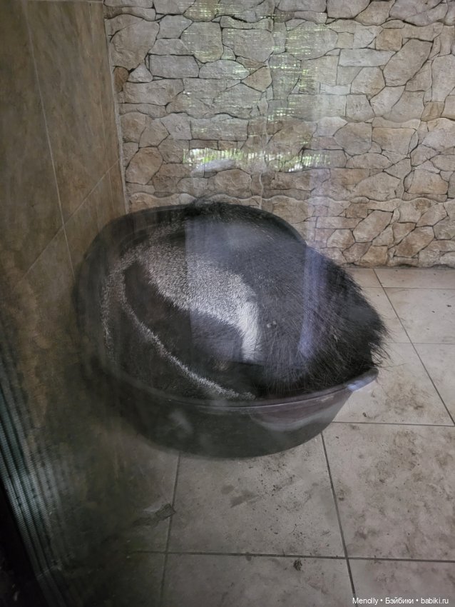 А мы идём...в Зоопарк — Мягкие игровые и текстильные куклы: тряпичные