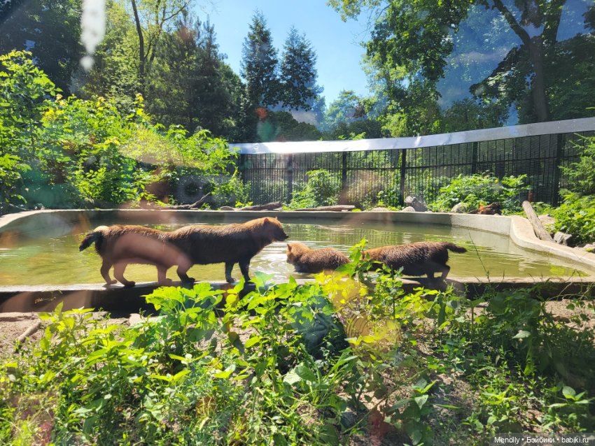 А мы идём...в Зоопарк — Мягкие игровые и текстильные куклы: тряпичные (фото 4)