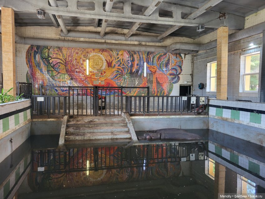 А мы идём...в Зоопарк — Мягкие игровые и текстильные куклы: тряпичные