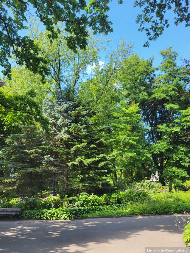 А мы идём...в Зоопарк — Мягкие игровые и текстильные куклы: тряпичные