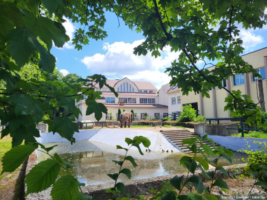 А мы идём...в Зоопарк — Мягкие игровые и текстильные куклы: тряпичные (фото 9)