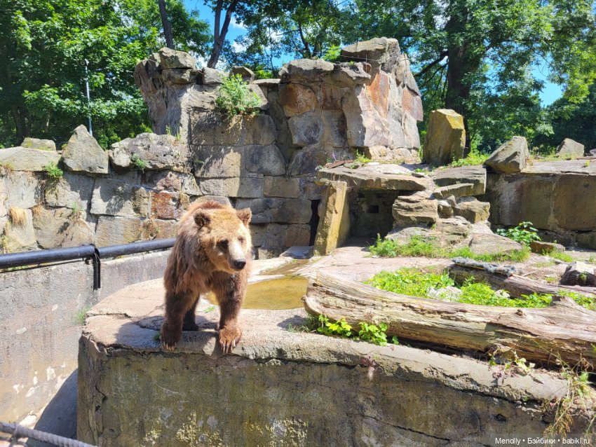 А мы идём...в Зоопарк — Мягкие игровые и текстильные куклы: тряпичные