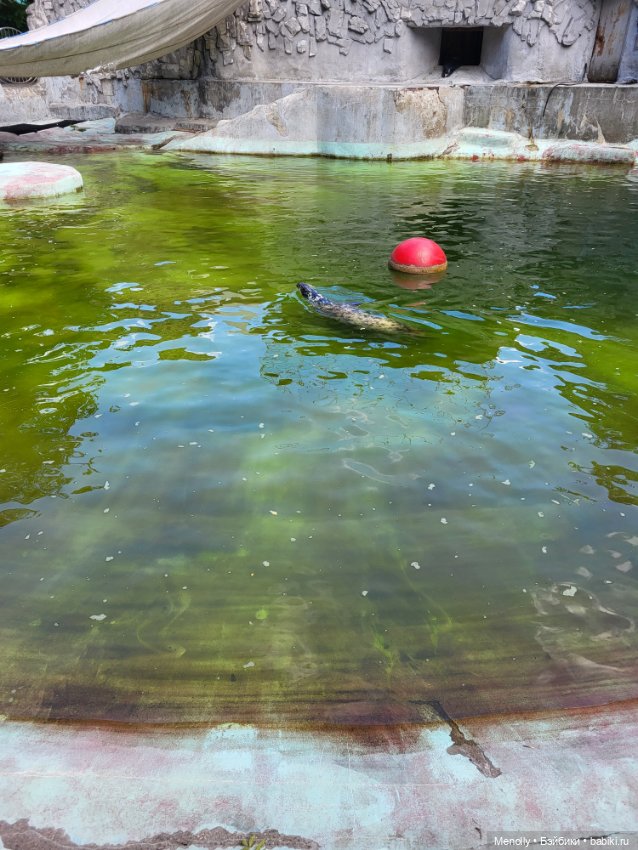 А мы идём...в Зоопарк — Мягкие игровые и текстильные куклы: тряпичные