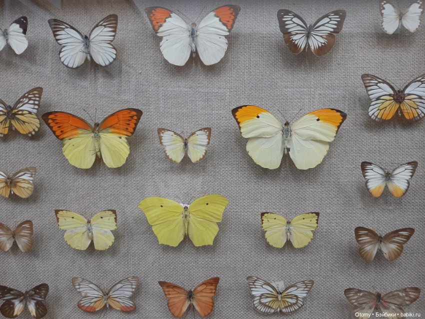 Отпуск во Владивостоке (часть 1)