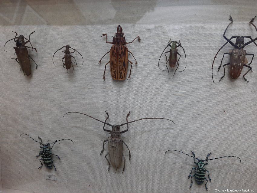 Отпуск во Владивостоке (часть 1)