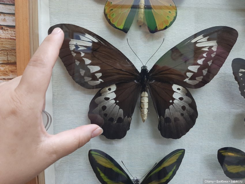 Отпуск во Владивостоке (часть 1)