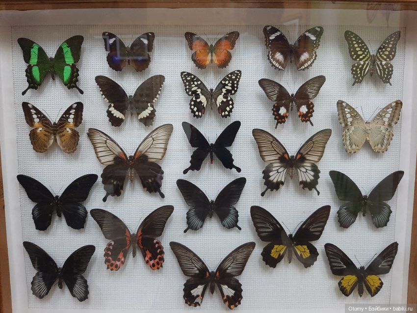 Отпуск во Владивостоке (часть 1)