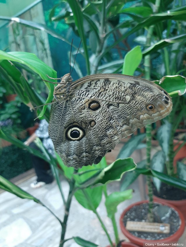 Отпуск во Владивостоке (часть 1)