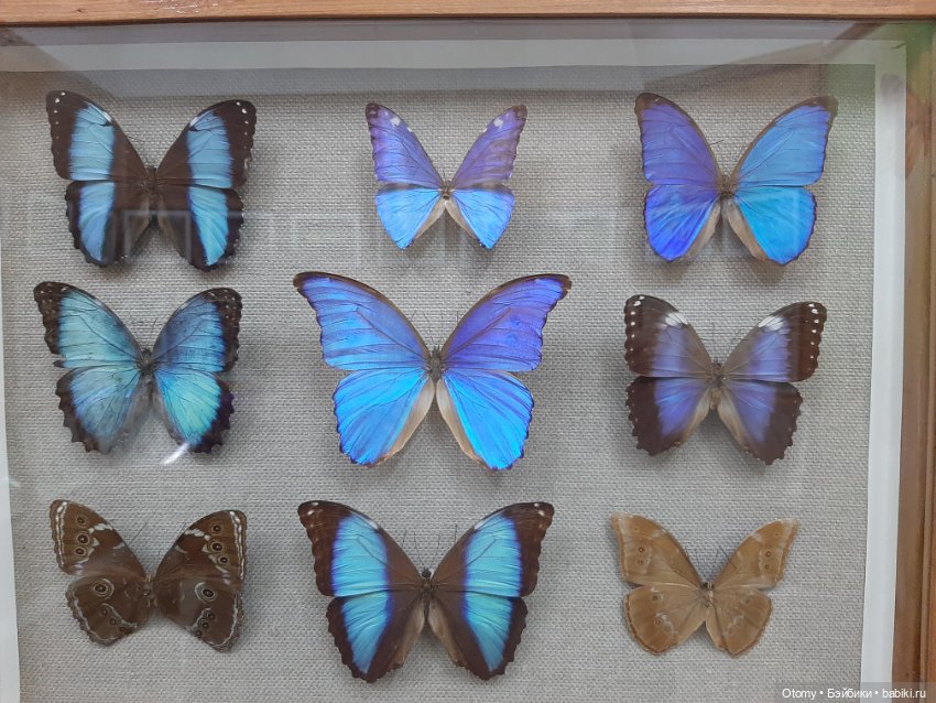 Отпуск во Владивостоке (часть 1)