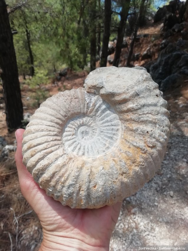 Красивые фото из отпуска — Туризм и путешествия: фотоотчеты из поездок