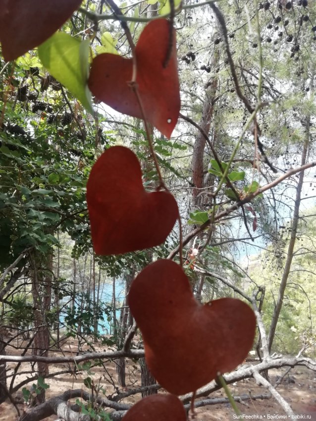 Красивые фото из отпуска — Туризм и путешествия: фотоотчеты из поездок