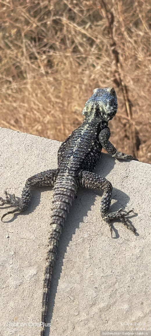 Красивые фото из отпуска — Туризм и путешествия: фотоотчеты из поездок