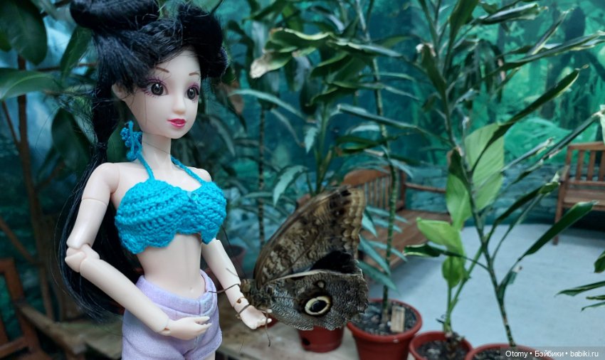 Отпуск во Владивостоке (часть 1)