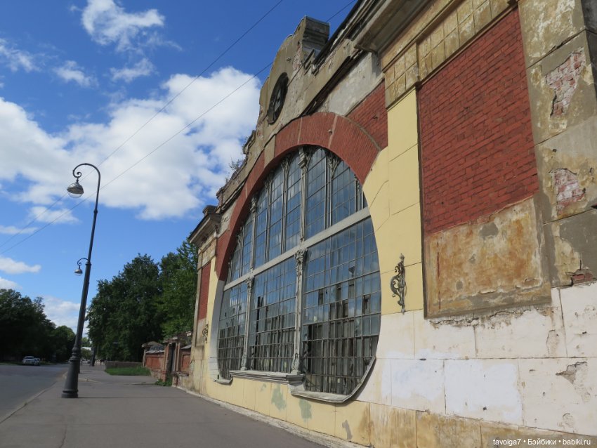 Kidz n Cats minis в Кронштадте