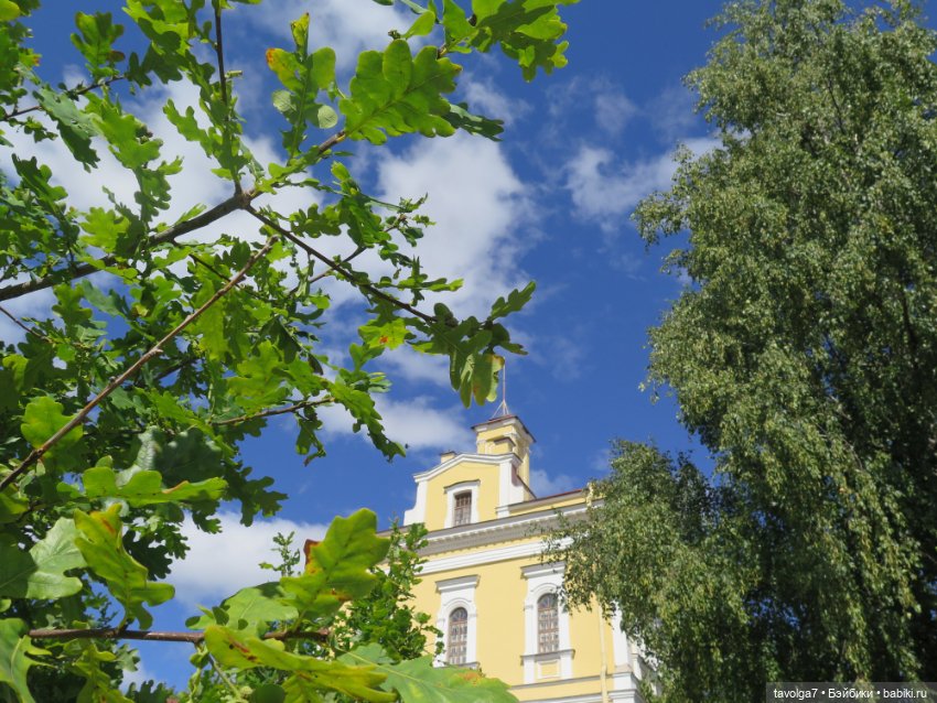 Kidz n Cats minis в Кронштадте