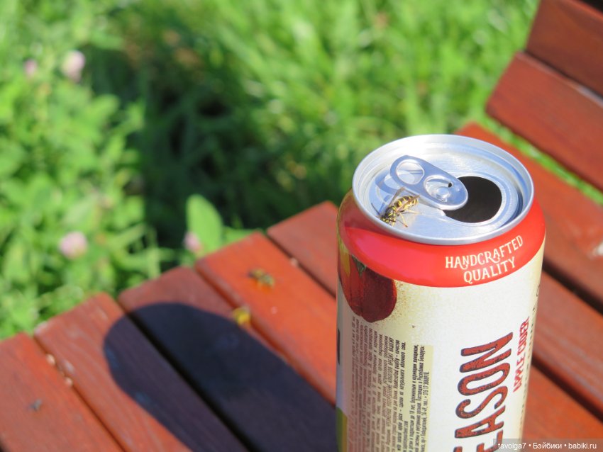 Kidz n Cats minis в Кронштадте (фото 9)