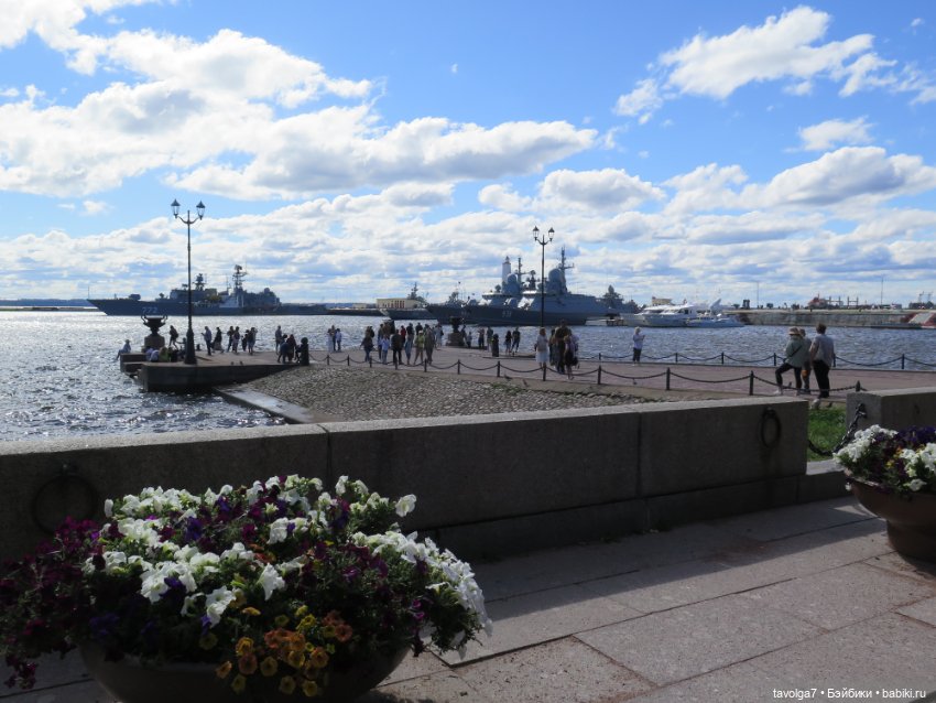 Kidz n Cats minis в Кронштадте