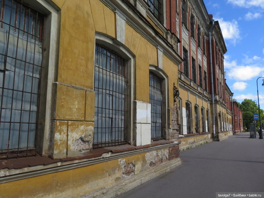 Kidz n Cats minis в Кронштадте