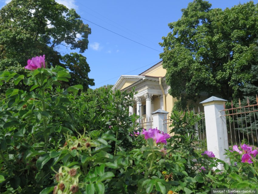 Kidz n Cats minis в Кронштадте